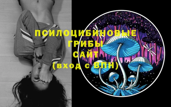 соль ск Абинск