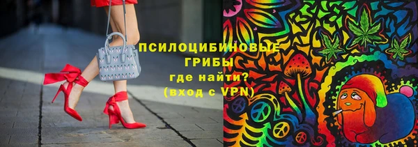 apvp Абаза