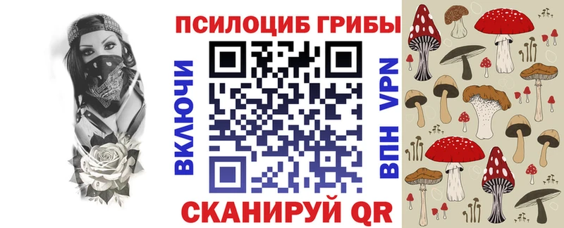 где продают наркотики Нестеровская Галлюциногенные грибы Psilocybe
